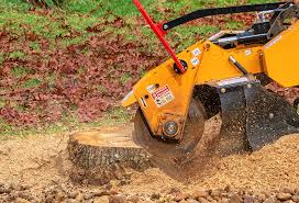 Leaf Removal Services in Broxton, GA